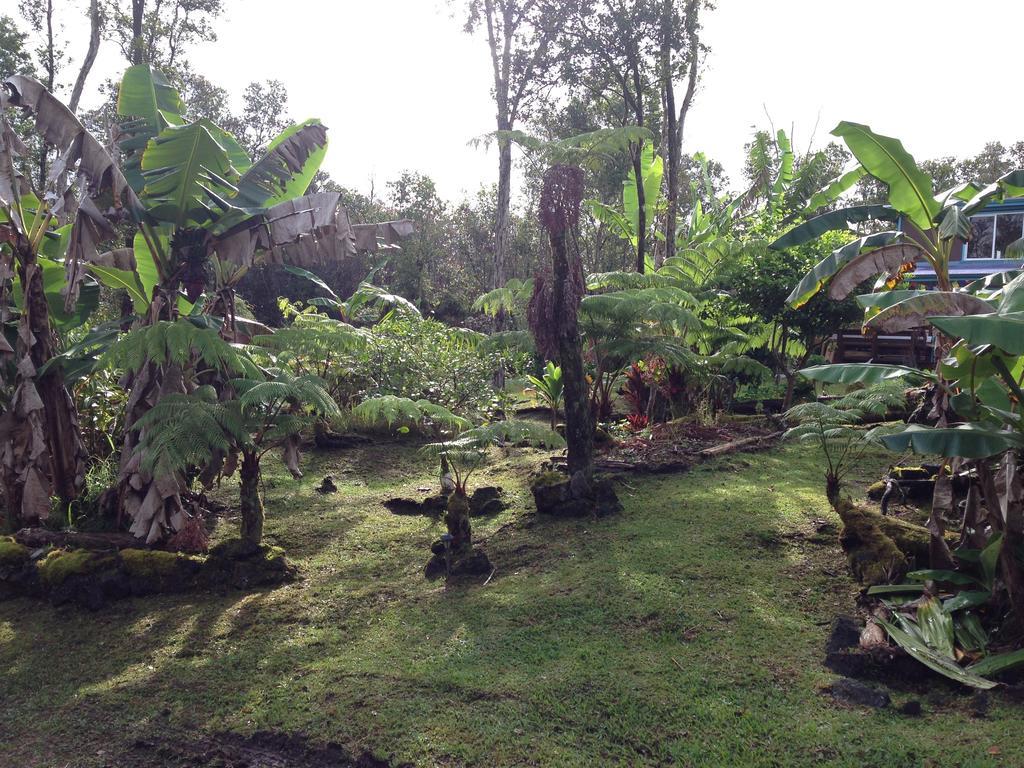 Honu Hale Volcano Exterior foto