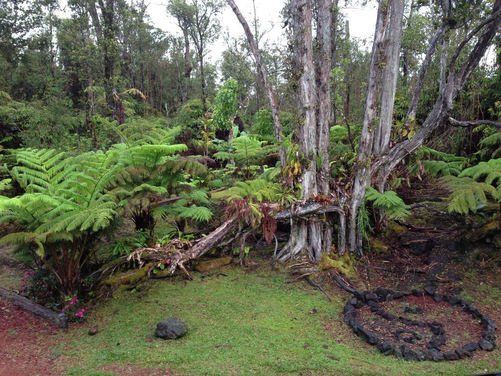 Honu Hale Volcano Exterior foto